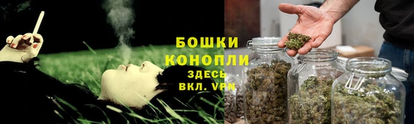 прущие крисы Мегион