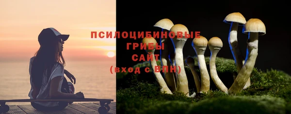 прущие крисы Мегион