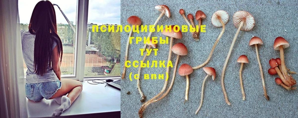 герыч Медногорск