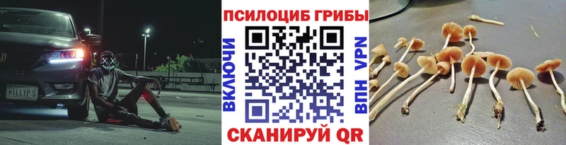 мориарти состав  Новая Усмань  Галлюциногенные грибы GOLDEN TEACHER  цена  